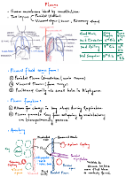 Pleura.pdf